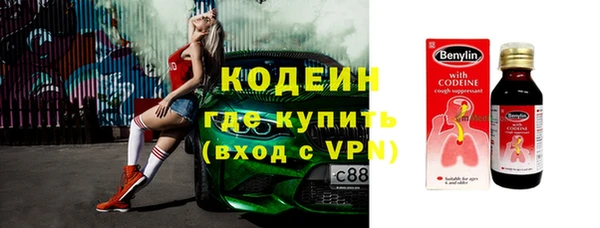 сатива Вяземский