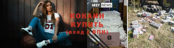 спиды Бородино