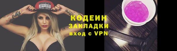 сатива Вяземский
